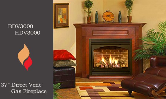 DV3000 Direct Vent Gas Fireplace (30" Viewing Area)