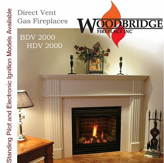 DV3000 Direct Vent Gas Fireplace (30" Viewing Area)