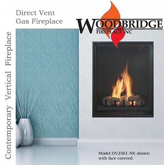 DV2501 Vertical Direct Vent Gas Fireplace
