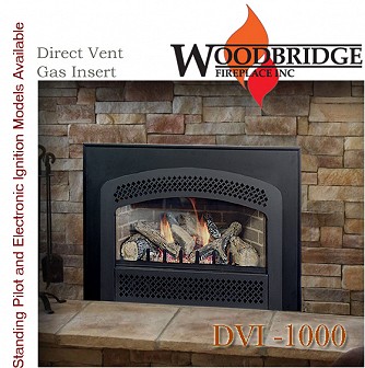 DVI1000 29" Direct Vent Gas Insert